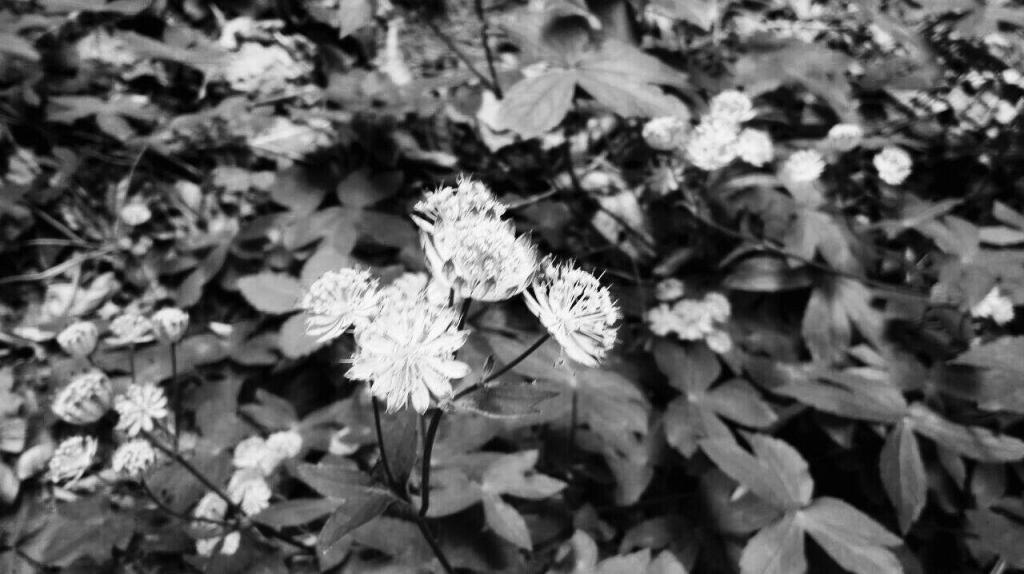 No existe la ciencia de los principios ni la de los&nbsp;finales.