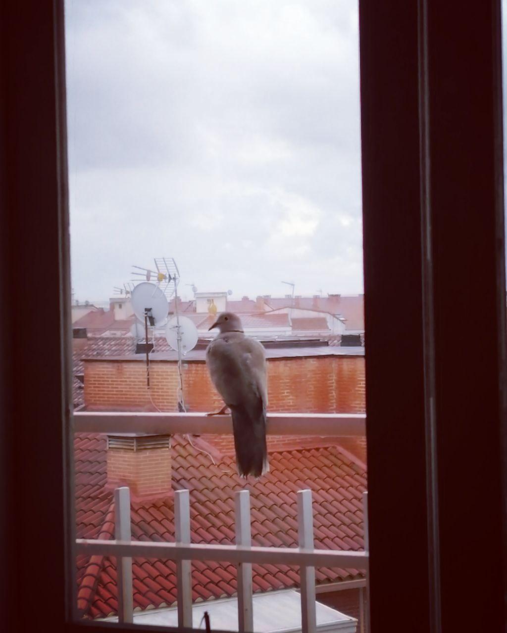 Antimemorias del COVID-19: Intimidades&nbsp;confinadas