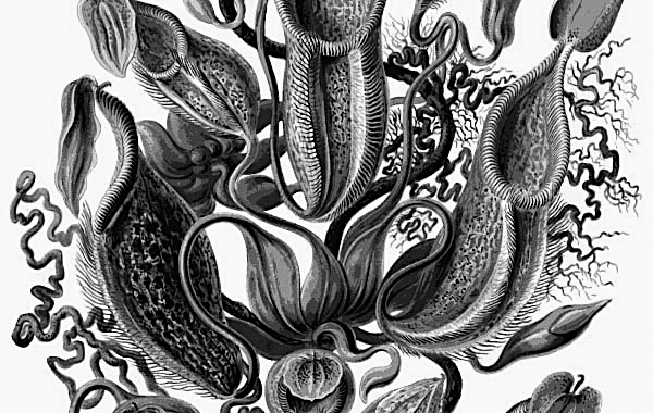 Covid-19, el virus de la era&nbsp;neoliberal