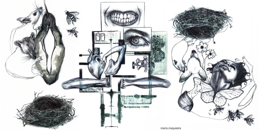 La comunidad ensoñada