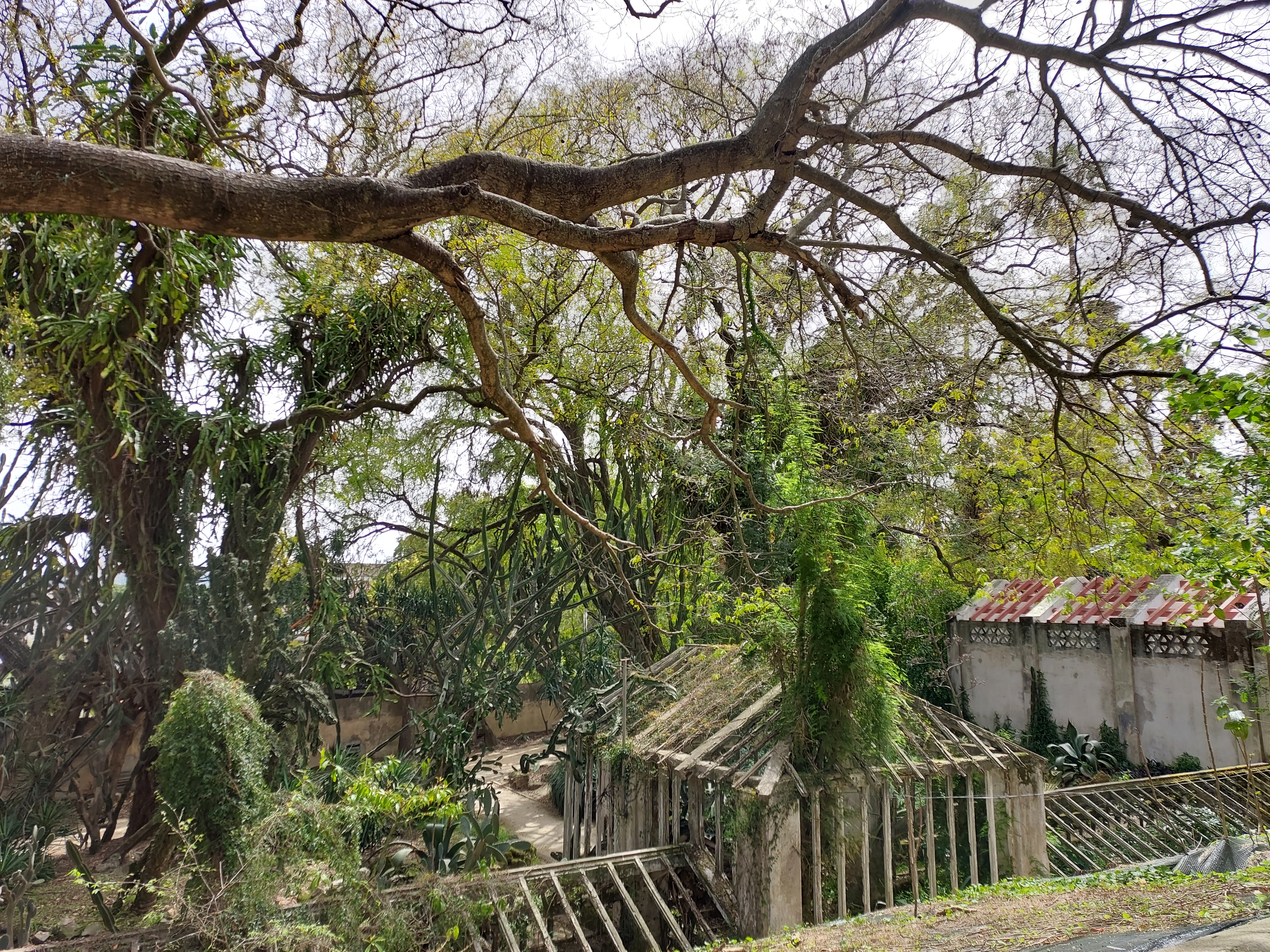 Jardím